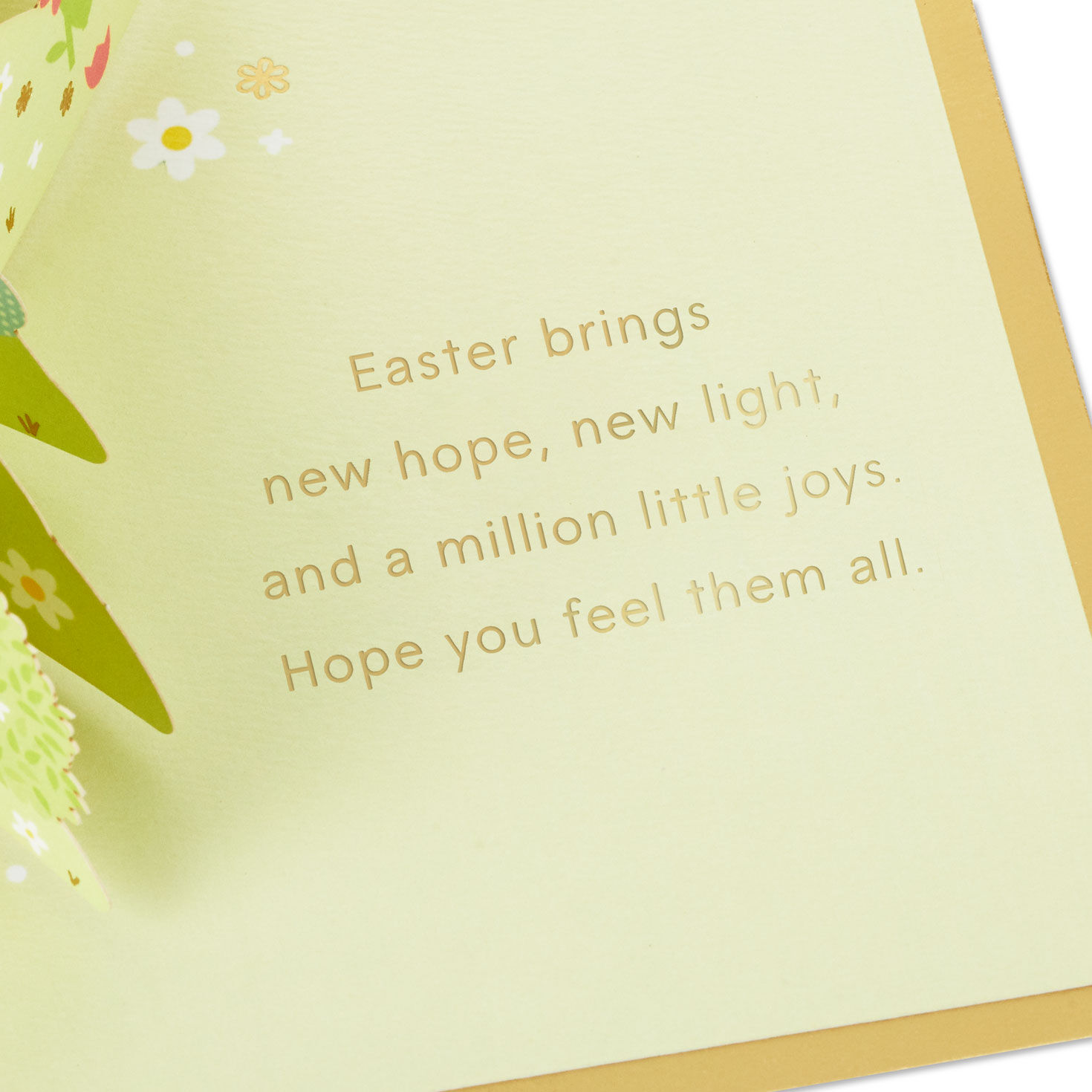 Peanuts&reg; Snoopy and Woodstock Easter Wonders 3D Pop-Up Easter Card, , large image number 3