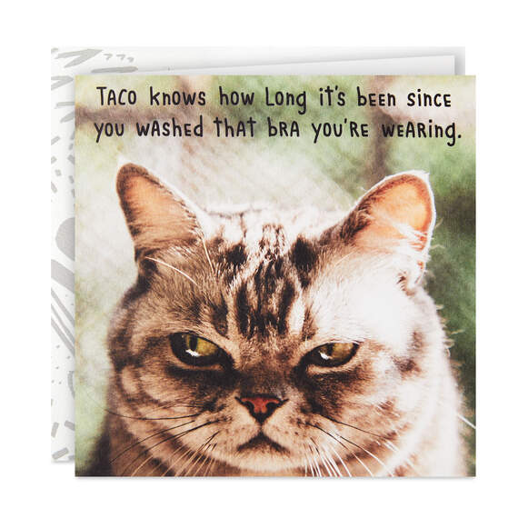 Taco the Cat Funny Birthday Card for Her
