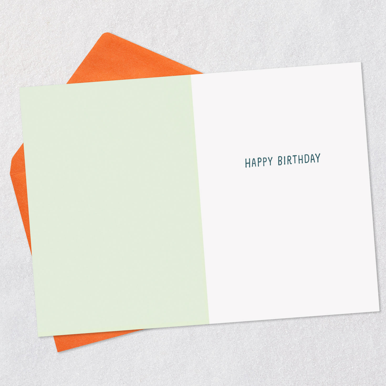 Cactus Looking Sharp Funny Birthday Card Open card with envelope image number 3