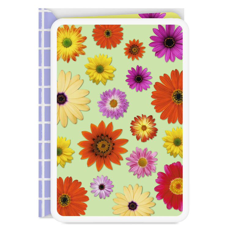 Colorful Daisies Blank Card