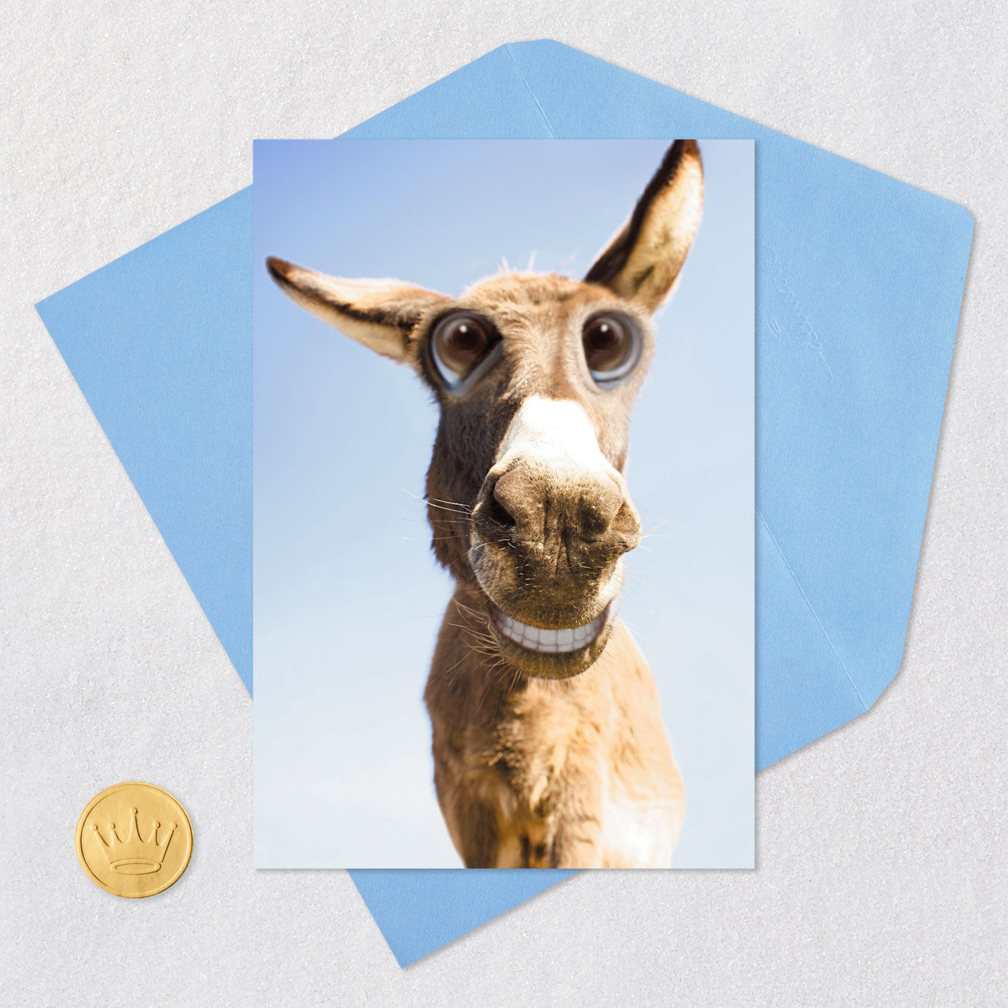 Donkey Make Your Ass Happy Funny Birthday Card Card Front with Envelope and Gold Seal image number 5