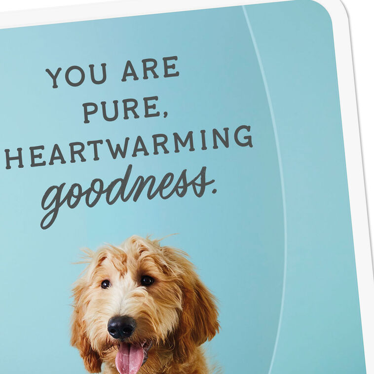 Goldendoodle Dog Pure Goodness Thank You Card Card Front Detail image number 4