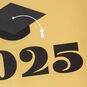 Black and Gold 2025 Graduation Note Cards Pack  image number 3