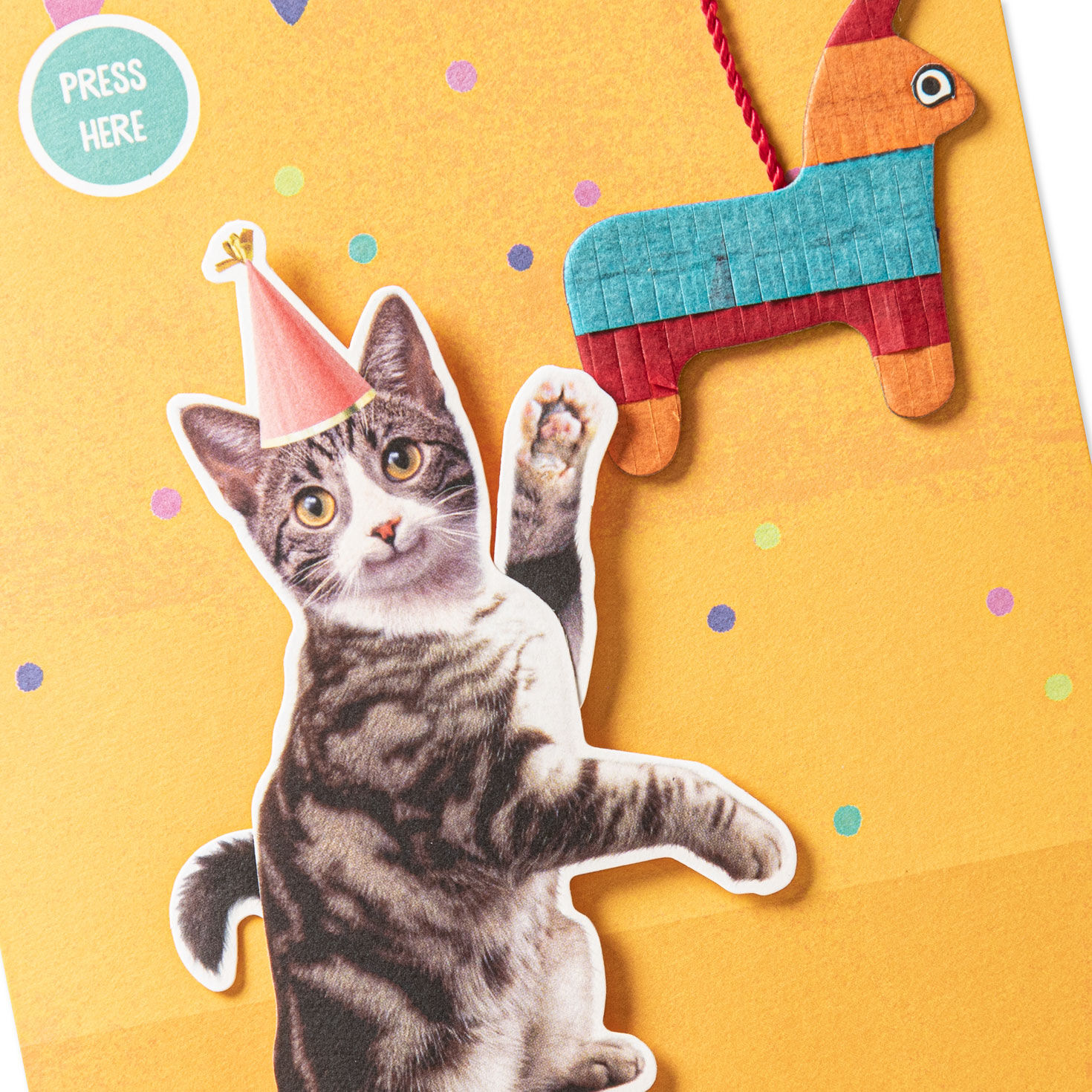 Cat With Pi&ntilde;ata Funny Birthday Card With Motion Card Front Detail image number 4