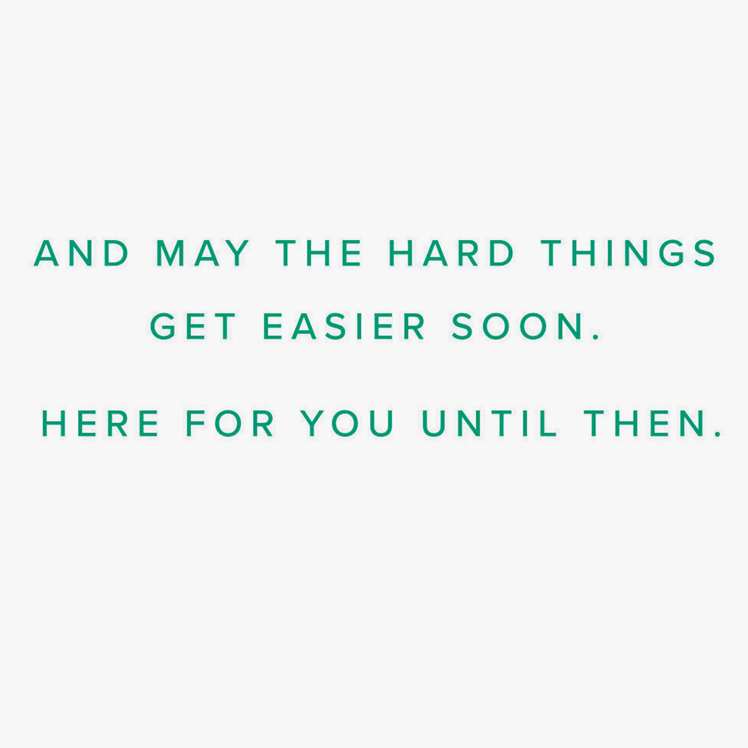 Bee and Flowers Encouragement Card Sentiment image number 2