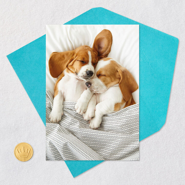Cuddly Puppies Funny Anniversary Card for Couple Card Front with Envelope and Gold Seal image number 5