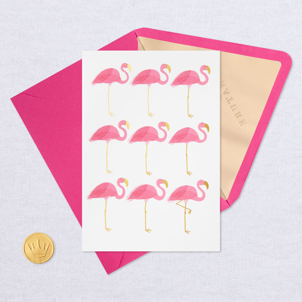 nine flamingos blank card greeting cards hallmark