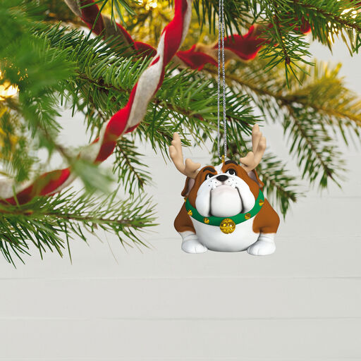 Reindoggie Ornament, 