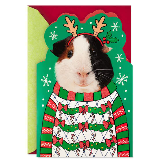 Singing Guinea Pig Funny Musical Christmas Card