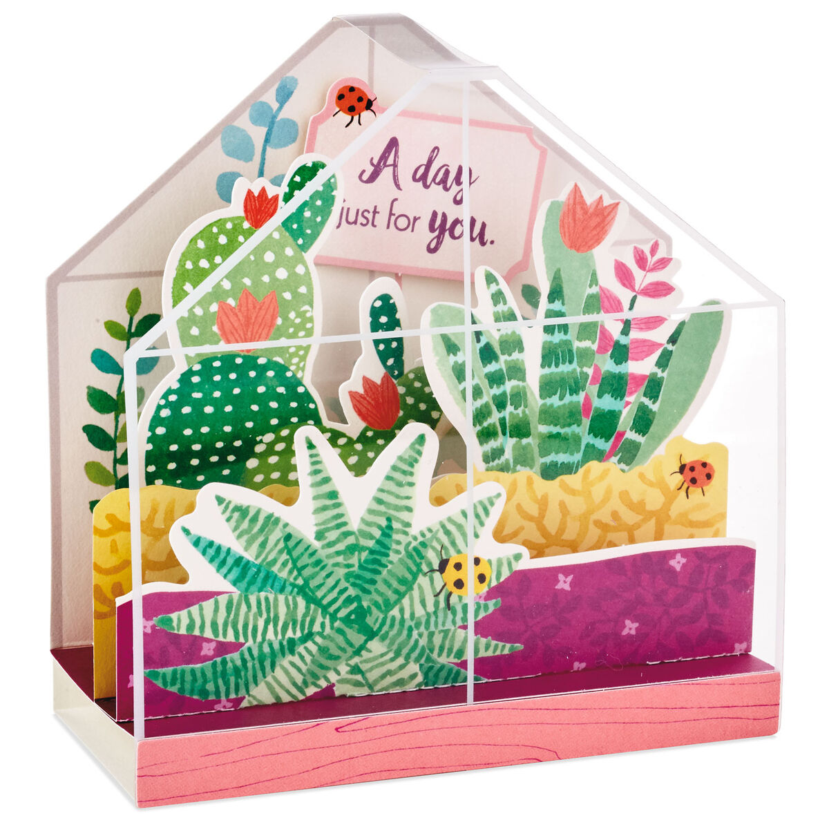 Succulent Garden Terrarium Pop Up Birthday Card - Greeting Cards - Hallmark