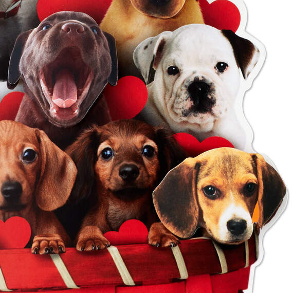 Puppy Dogs in Basket Funny Musical Valentine's Day Card, , large image number 4