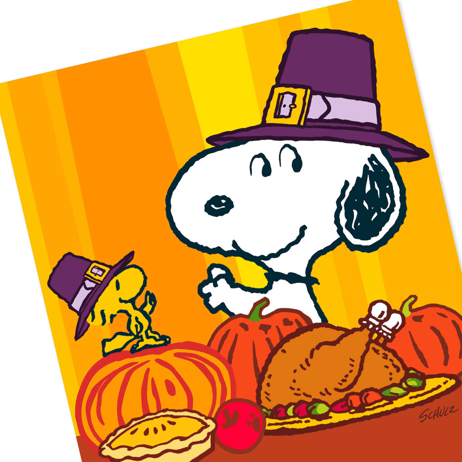 Peanuts Snoopy and Woodstock Thanksgiving Card Pack Cover Detail image number 4