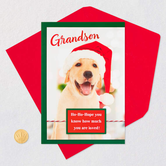 Puppy Dog in Santa Hat Christmas Card for Grandson, , large image number 5