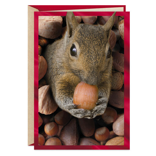 A Little Nutty, a Lot Loved Funny Sweetest Day Card, 