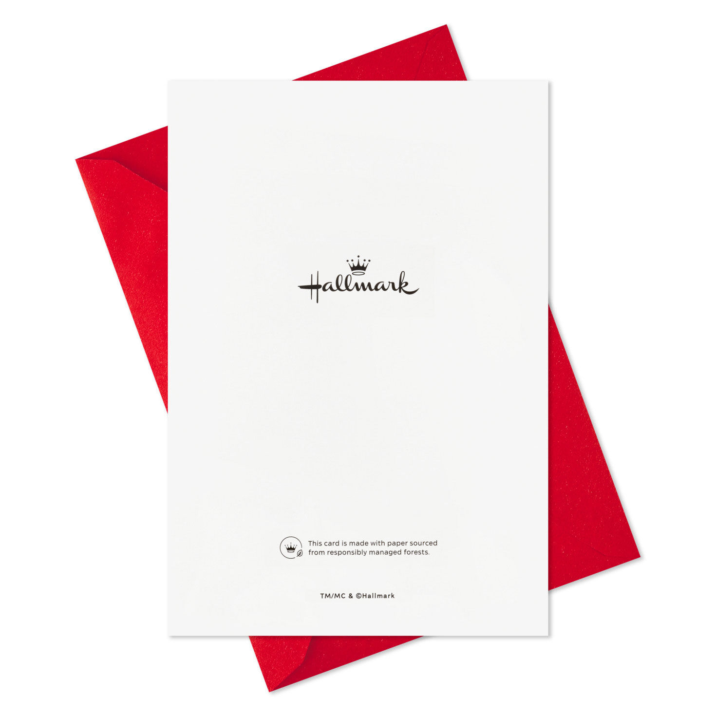 Cat and Tangled String Lights Christmas Cards Pack Card Back with Envelope image number 6