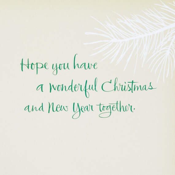 The Love You Share Christmas Card for Brother and Sister-in-Law, , large image number 3
