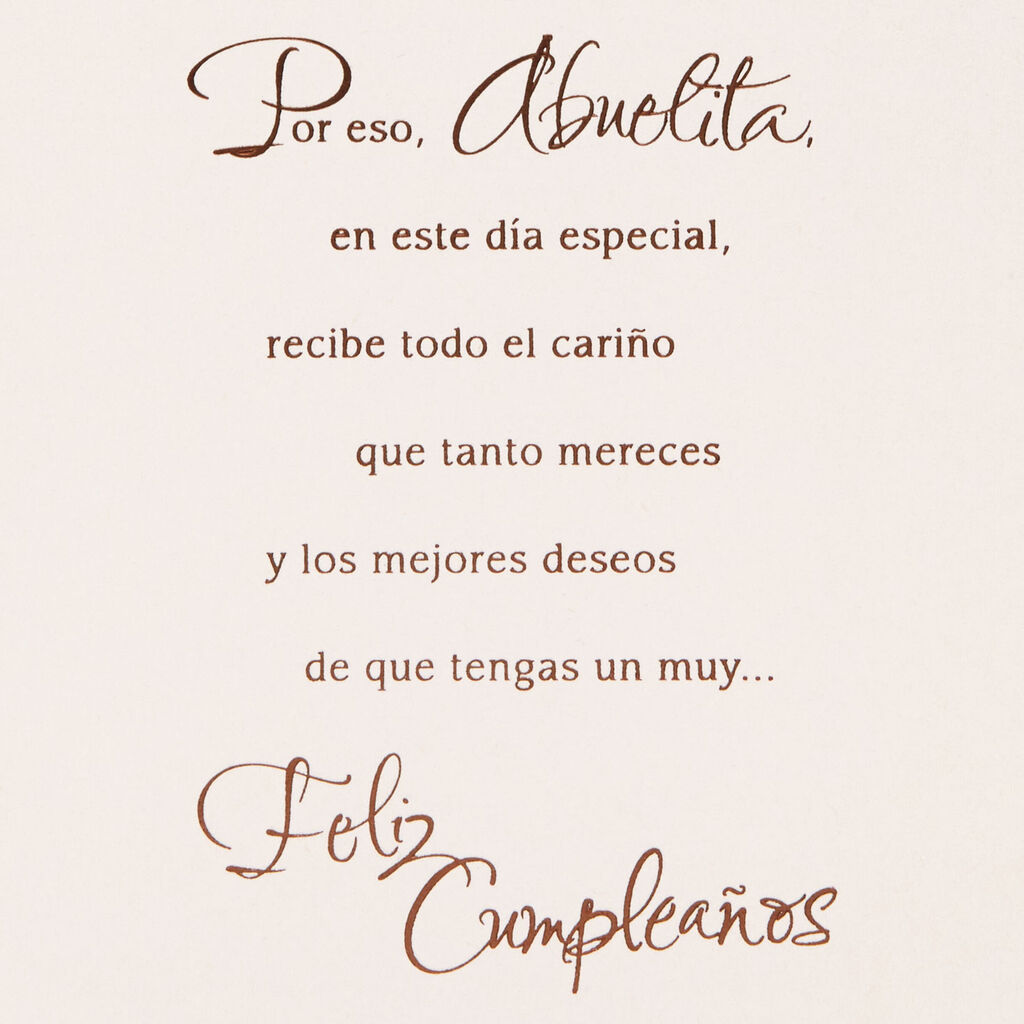 Love Of A Grandmother Spanish Language Birthday Card Greeting