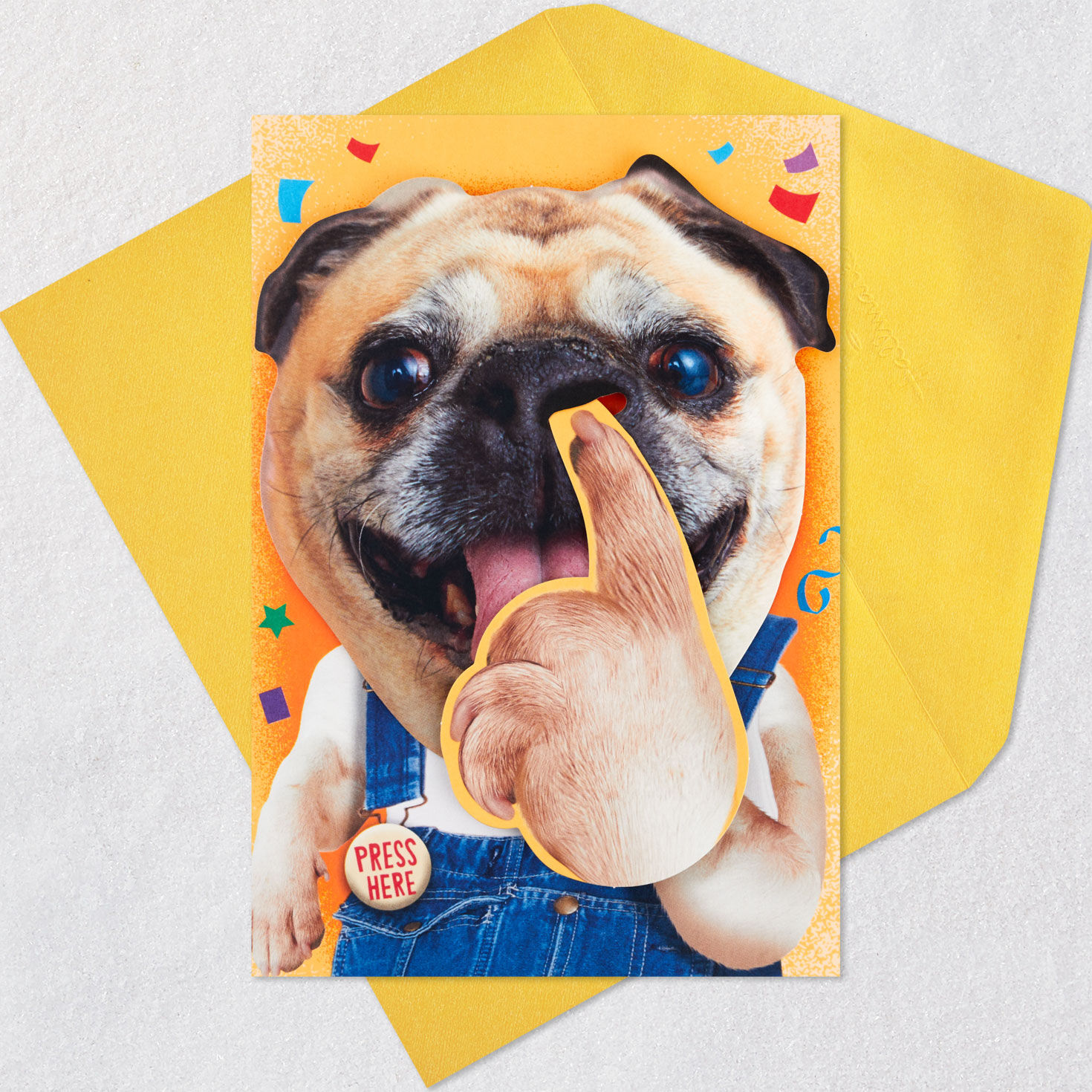 Nose-Picking Pug Funny Musical and Motion Birthday Card Card Front with Envelope image number 5