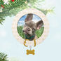 Pet Collar With Bone Charm Frame Keepsake Ornament Hanging on tree image number 2