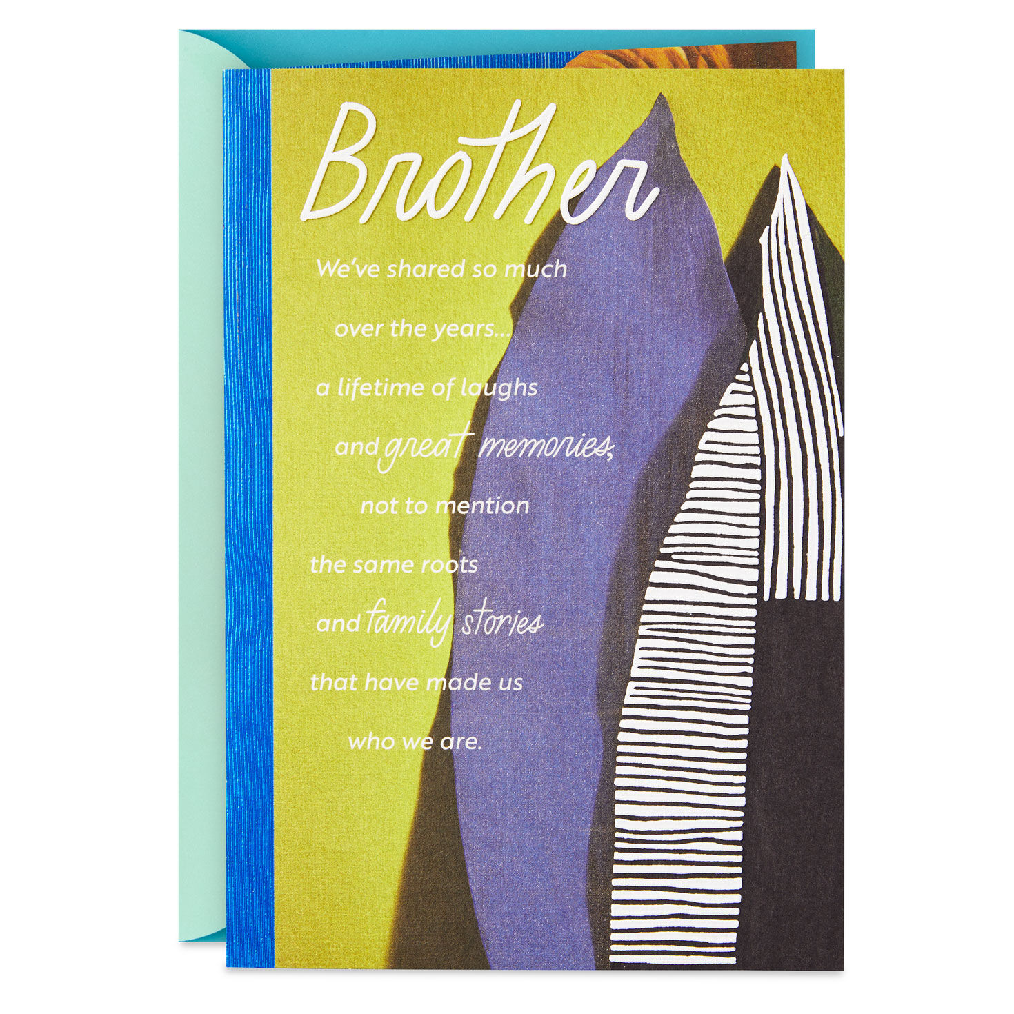 We've Shared So Much Birthday Card for Brother for only USD 5.59 | Hallmark