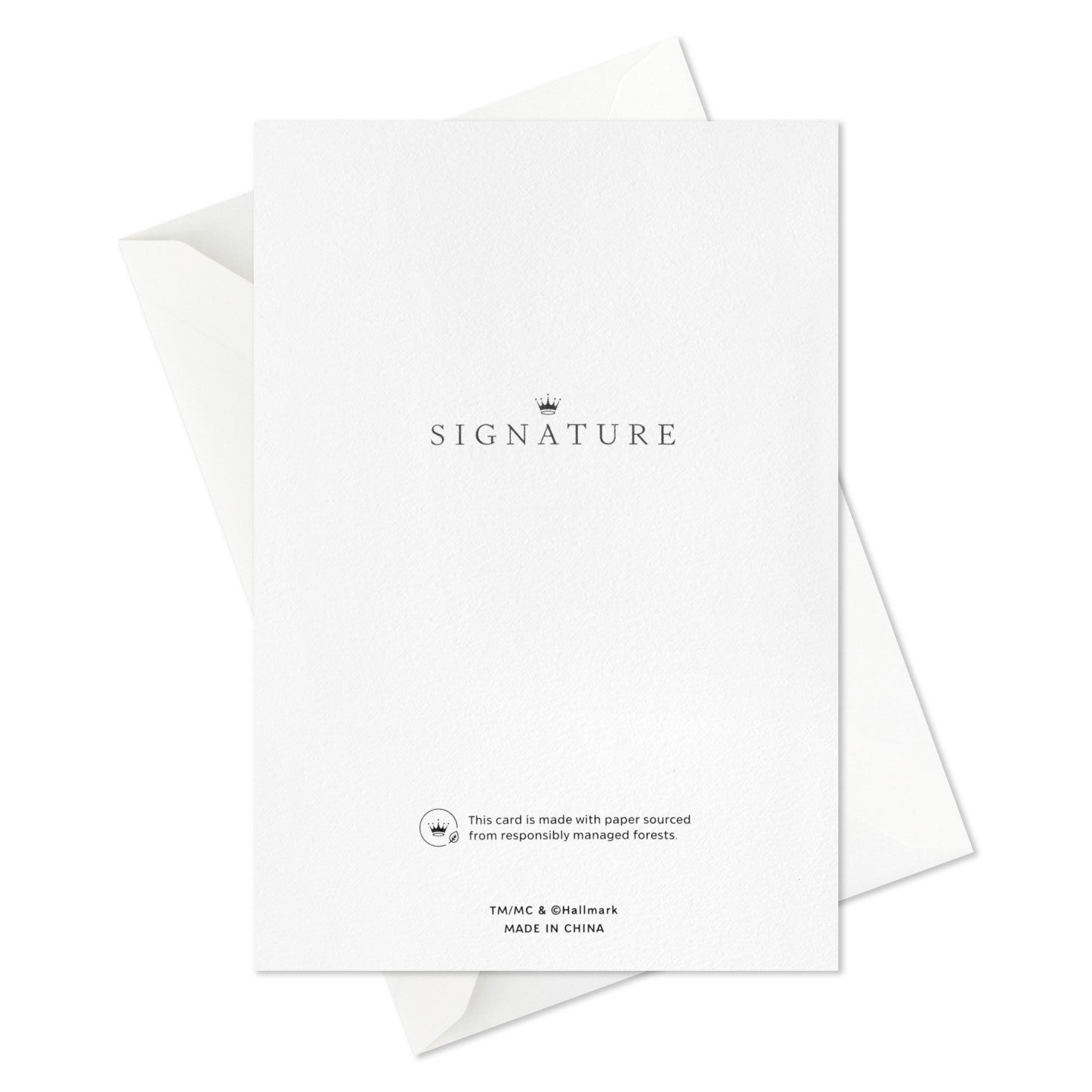 Poinsettias on Green Blank Boxed Christmas Cards, Pack of 12, , large image number 6