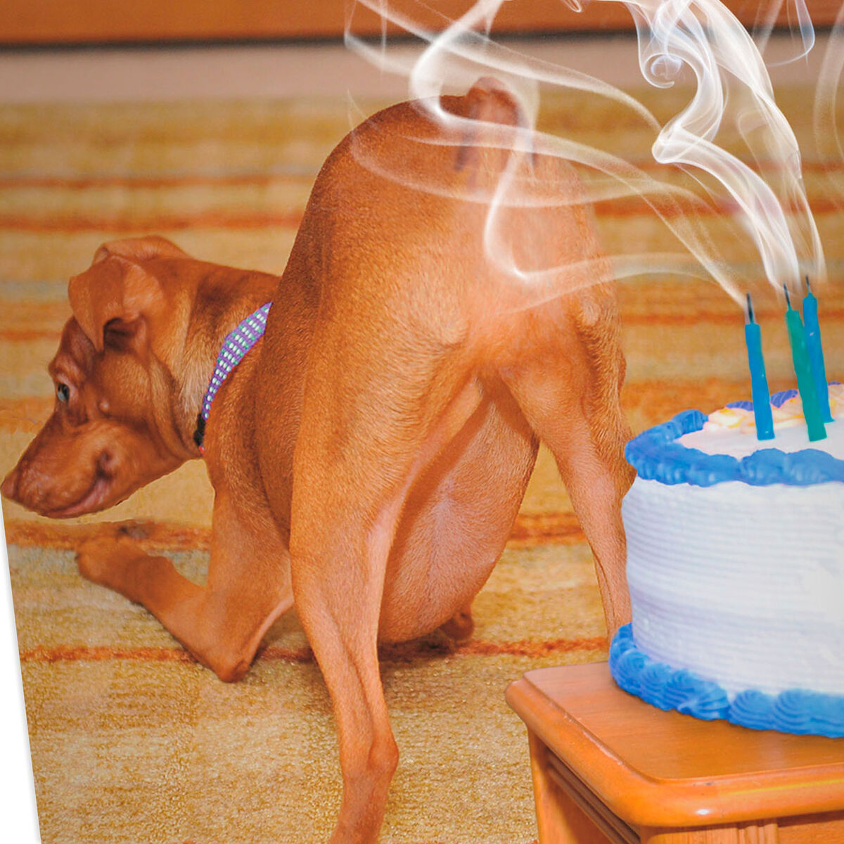 blowing farting