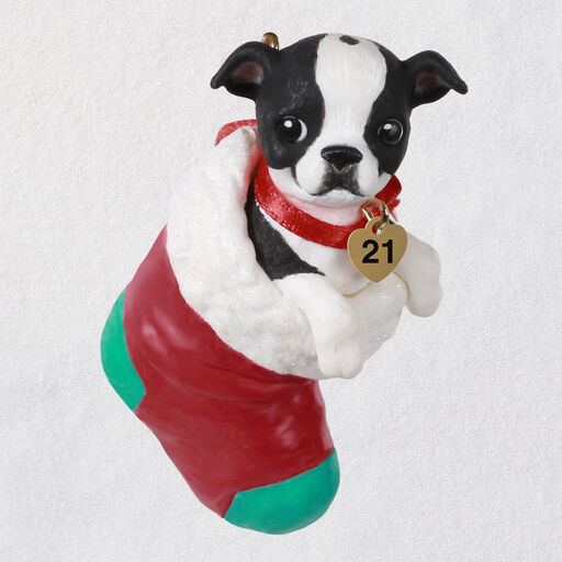 Puppy Love Boston Terrier 2021 Ornament, 