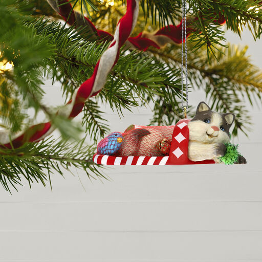Gifts For Pet Lovers Gifts For Cat Dog Lovers Hallmark