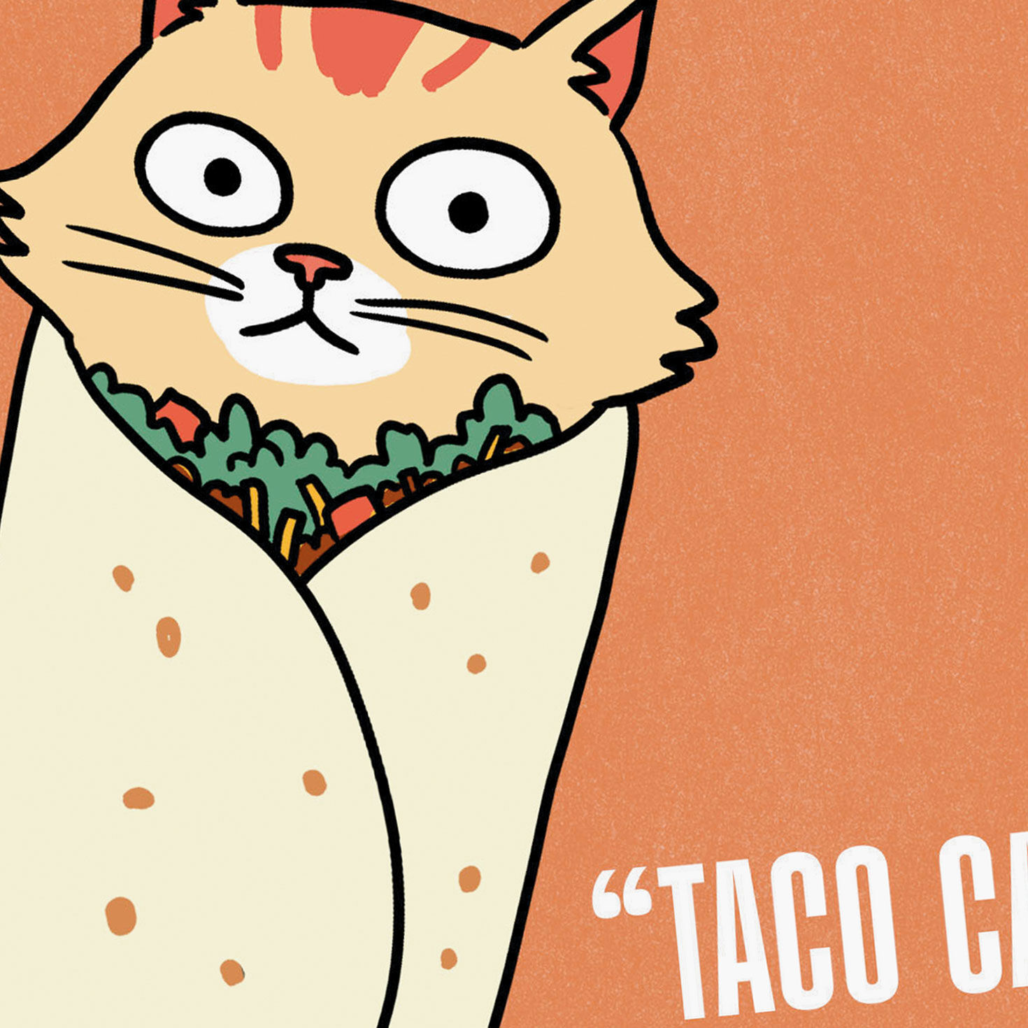 Orange Cat in Tortilla Funny Birthday Card Card Cover Detail image number 4