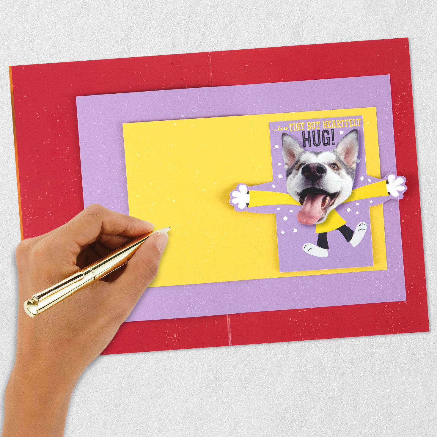 Dog With Lots of Wishes Birthday Card Signing card image number 9