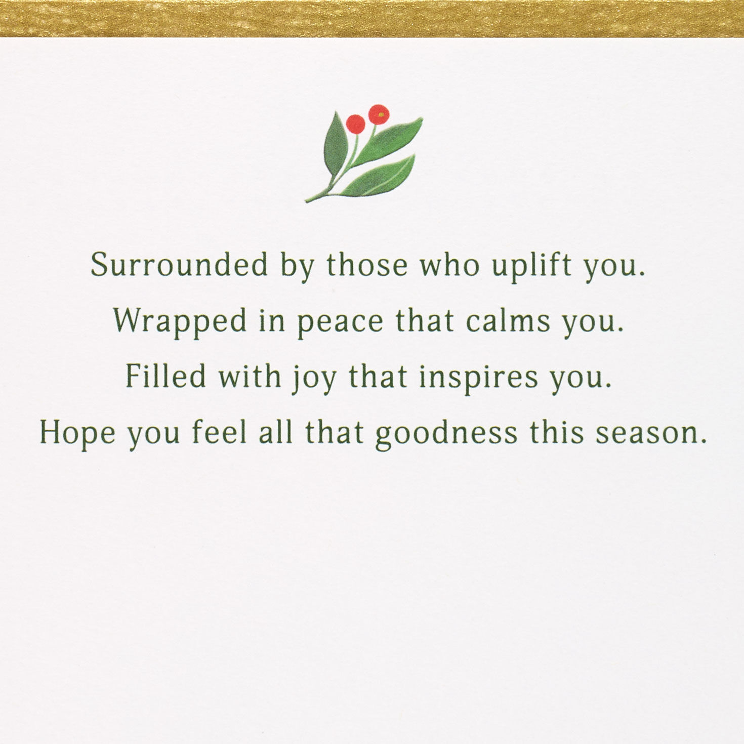 Oranges, Star Anise and Holly Christmas Card Sentiment image number 2