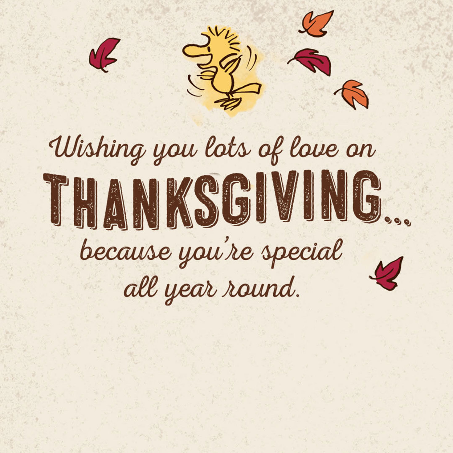 Peanuts® Snoopy and Woodstock Lots of Love Thanksgiving Card for only USD 2.99 | Hallmark