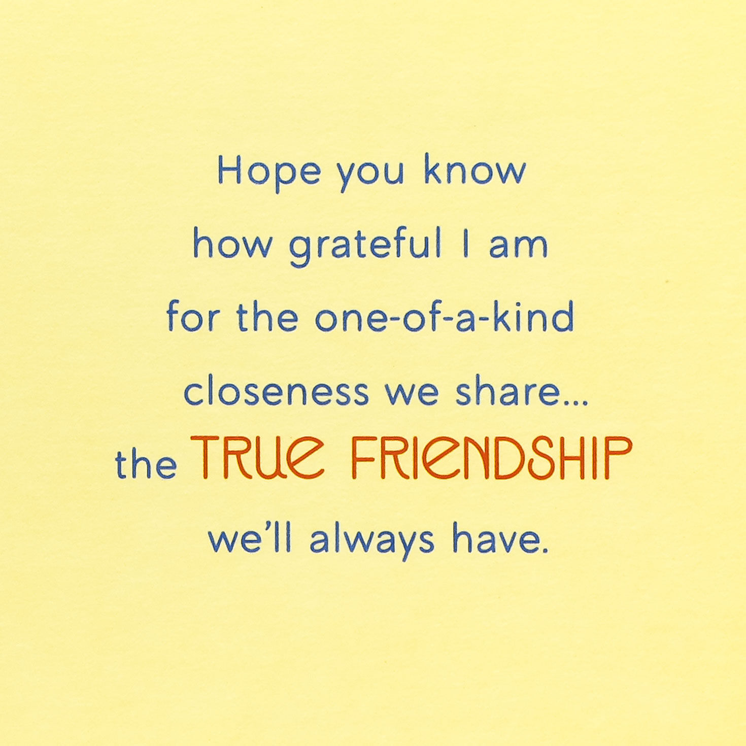 Colorful Birds on Orange Friendship Card Sentiment image number 3