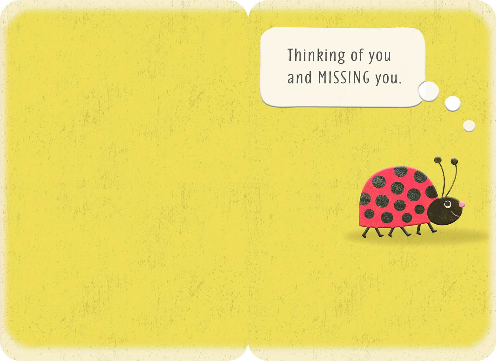 Ladybug Miss You Card