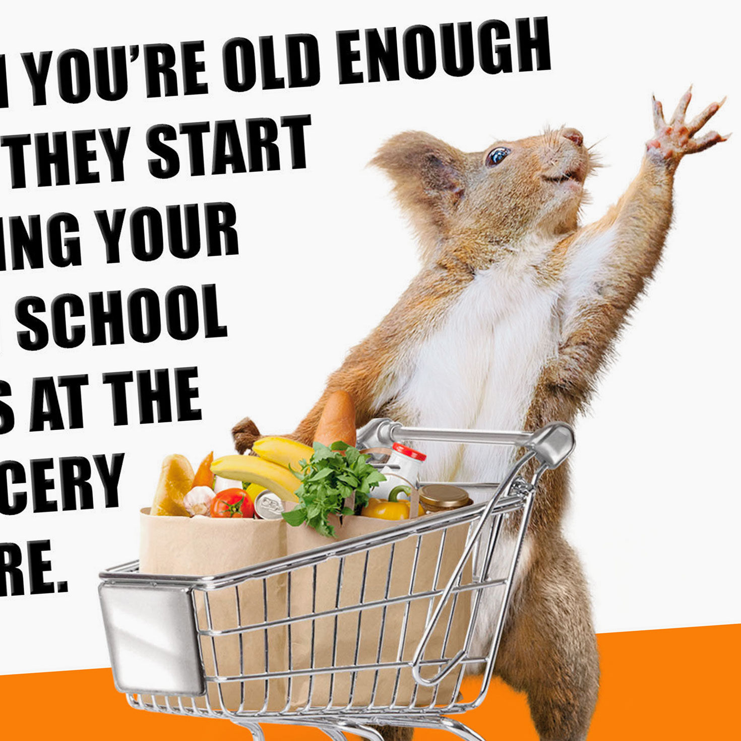 Squirrel With Grocery Cart Funny Birthday Card Card Front Detail image number 4