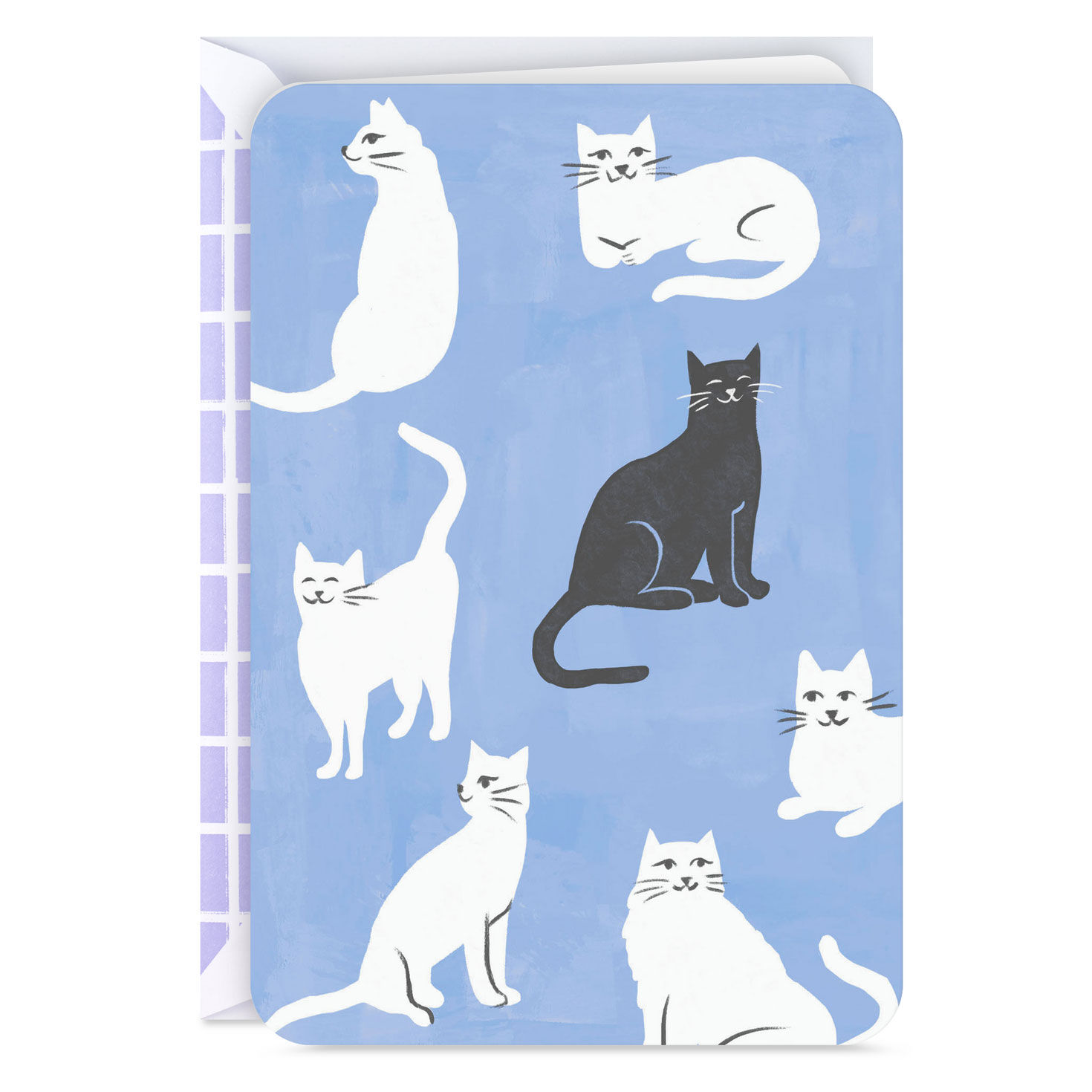 Black and White Cats Blank Card