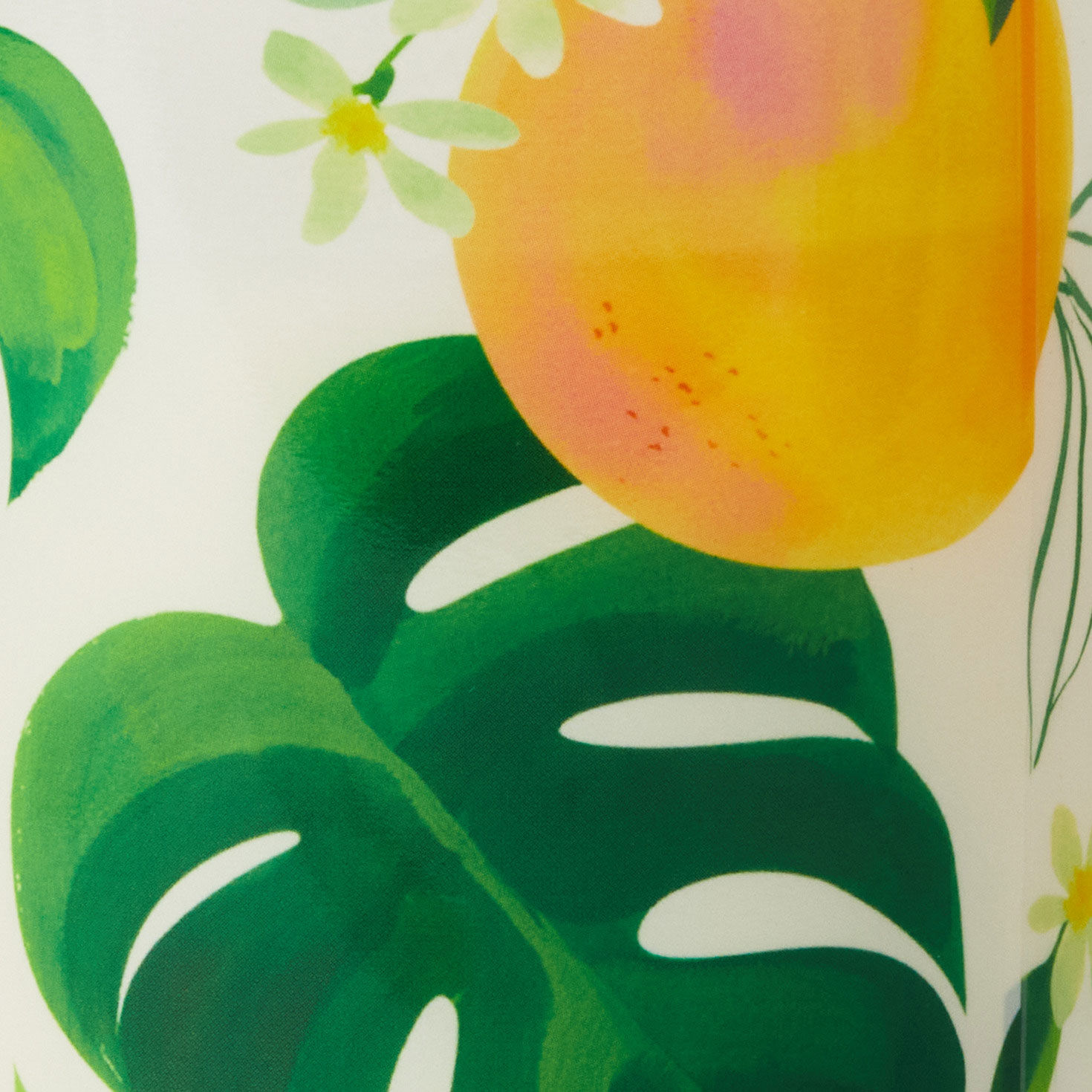 Mandarin Orange and Grapefruit Scented 2-Wick Jar Candle, 14.5 oz., , large image number 4