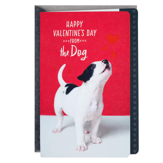 I'm the Luckiest Valentine's Day Card From the Dog, , large image number 1