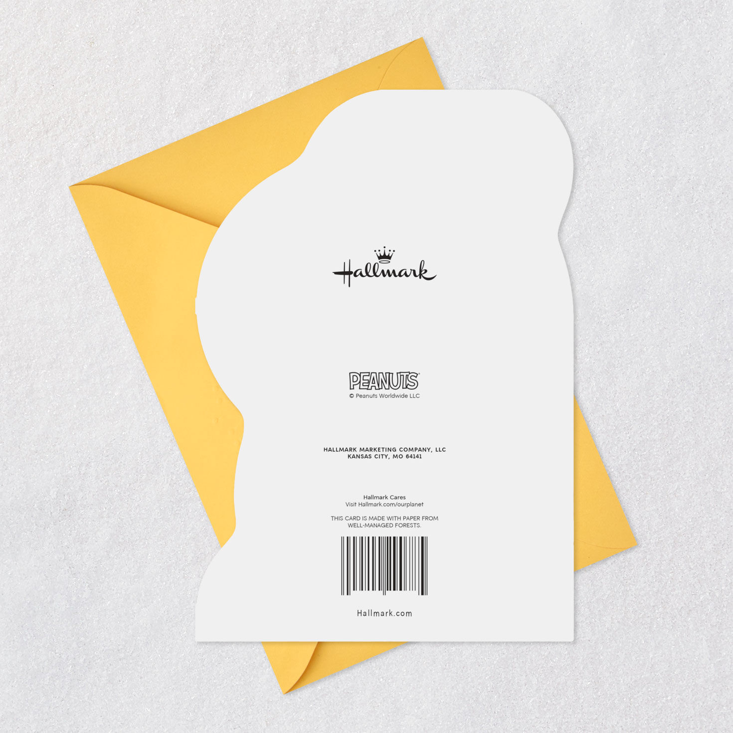 Peanuts&reg; Snoopy Hugging Woodstock Easter Card for Grandson, , large image number 7