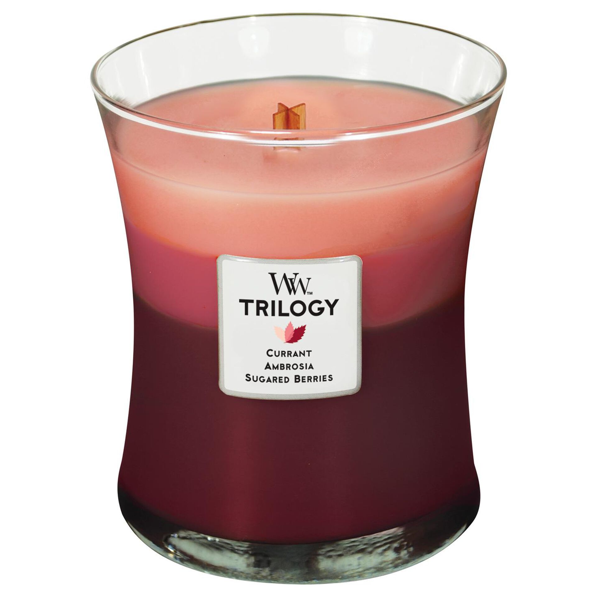 WoodWick® Fruit Temptation Trilogy Medium Candle, 10 oz Candles