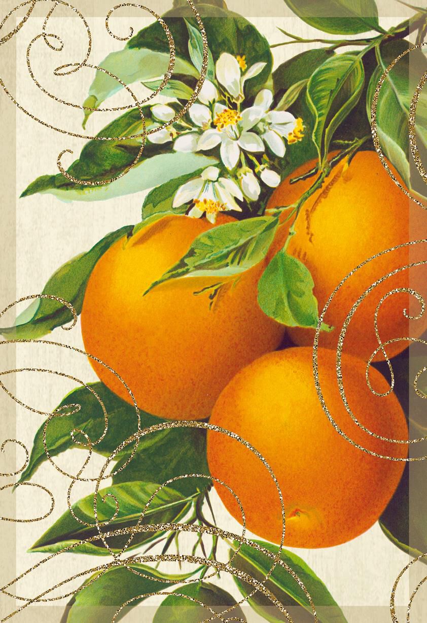 Orange Tree Vintage Design Blank Card