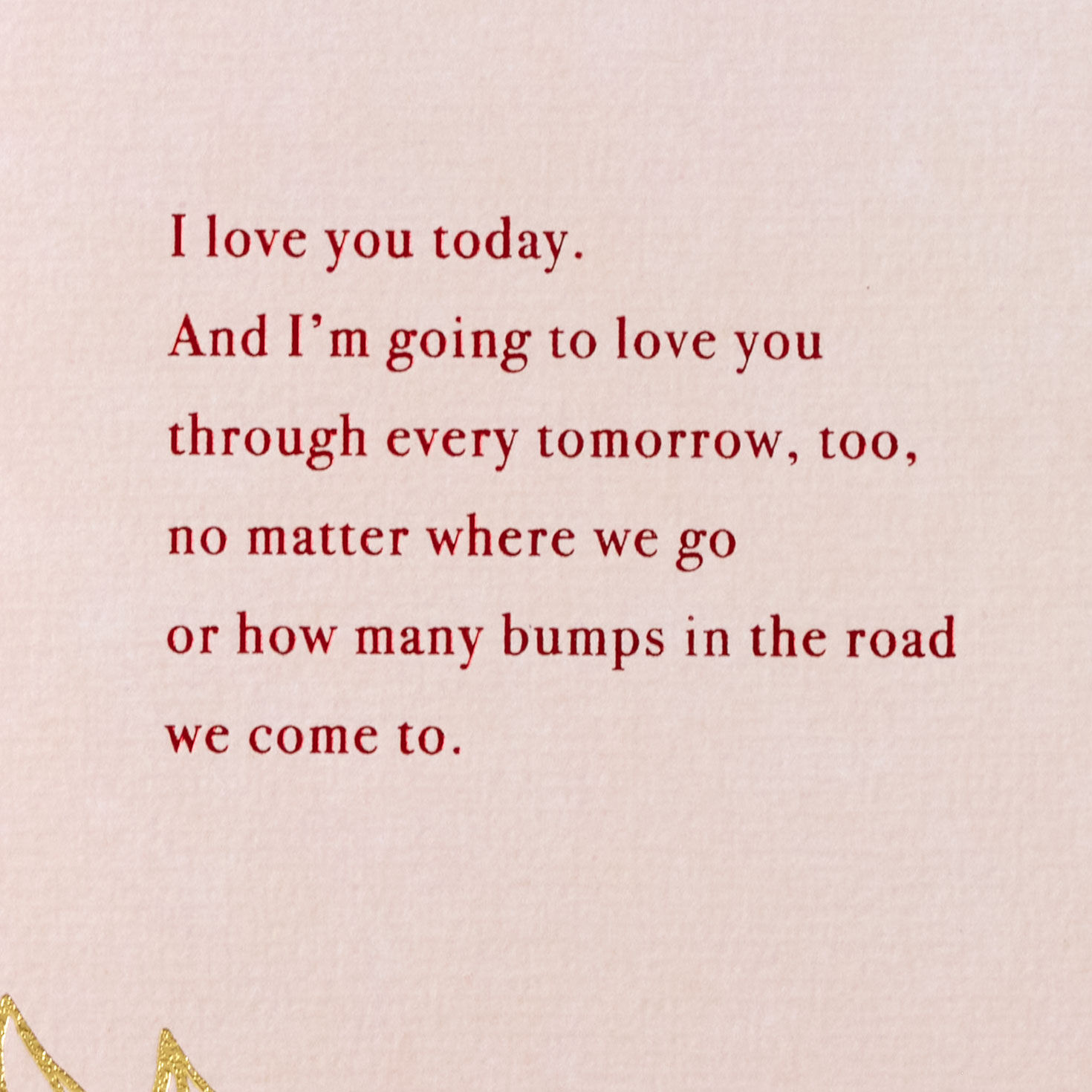 Flowers on Pink Valentine's Day Card for Wife Sentiment image number 2