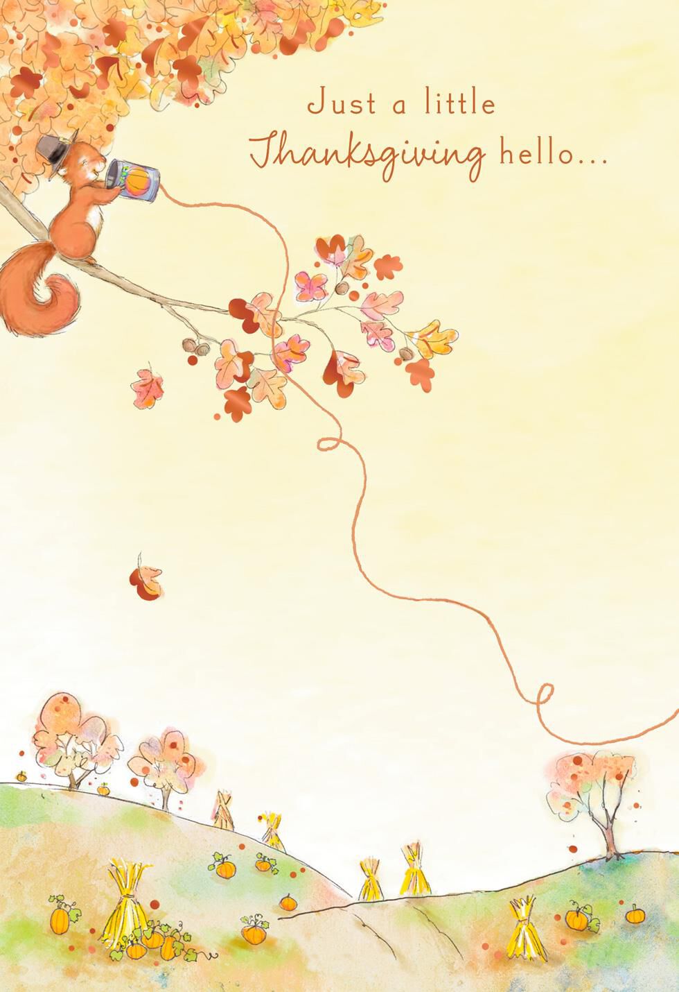 Cute Squirrel Long-Distance Hello Thanksgiving Card