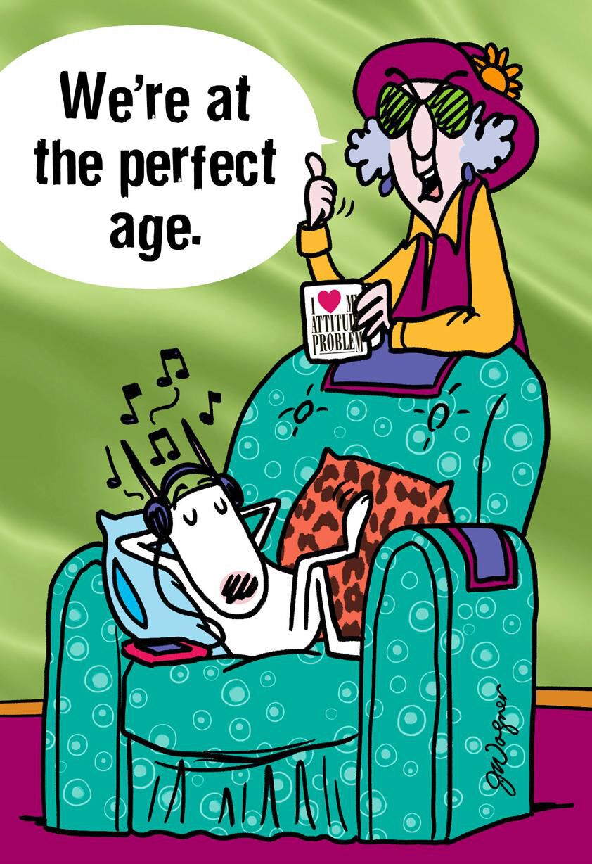 Maxine™ The Perfect Age Funny Birthday Card