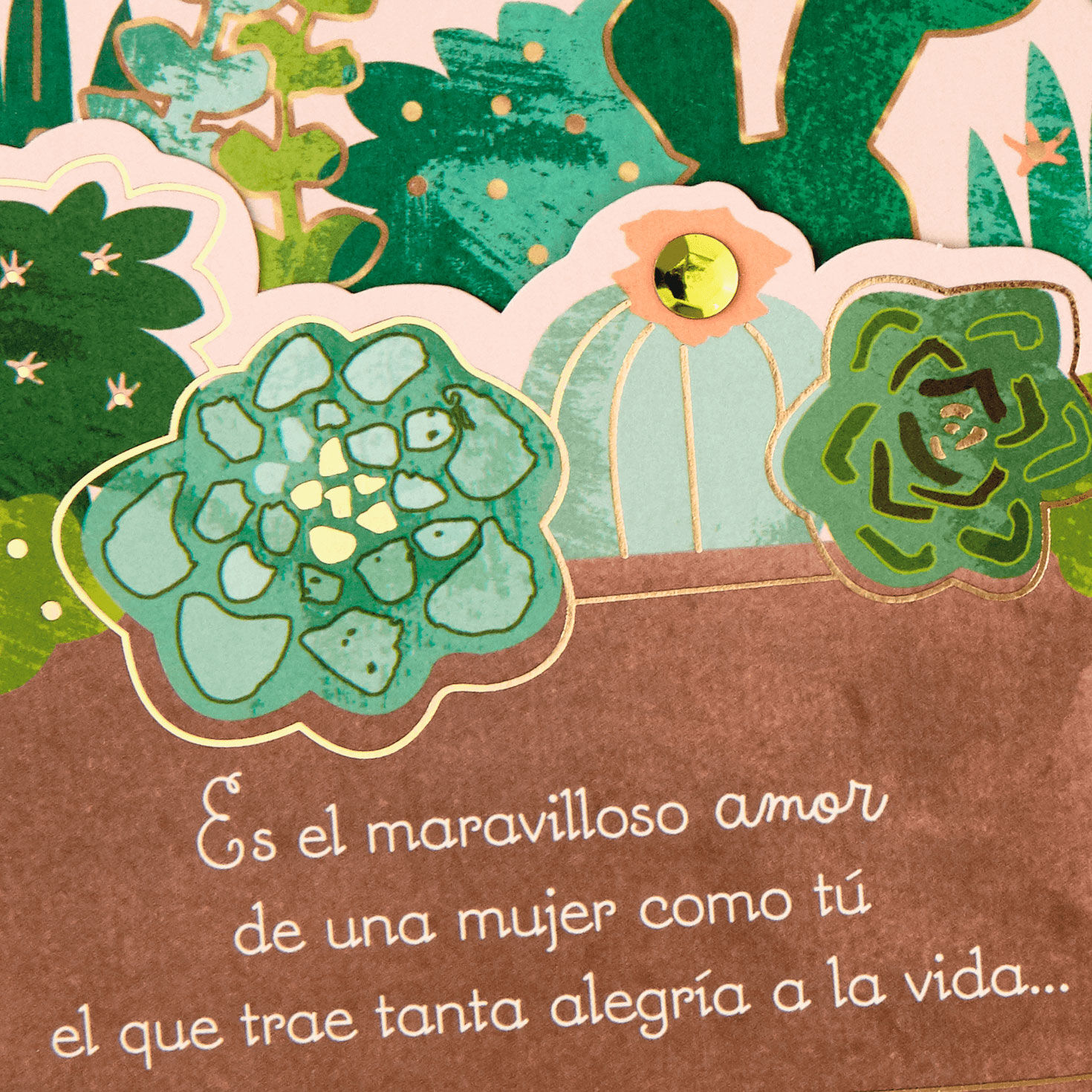 Succulent Plants Grandma Spanish Mother's Day Card Card Front Detail image number 6