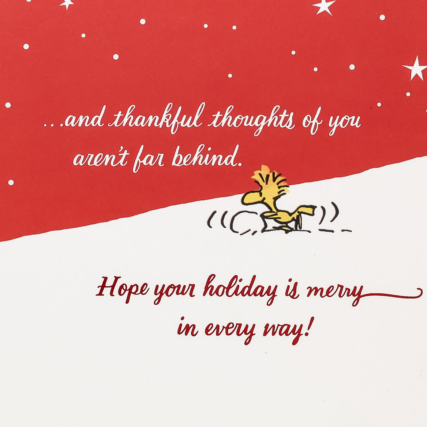 Snoopy Ice Skating Christmas Appreciation Card Sentiment image number 2