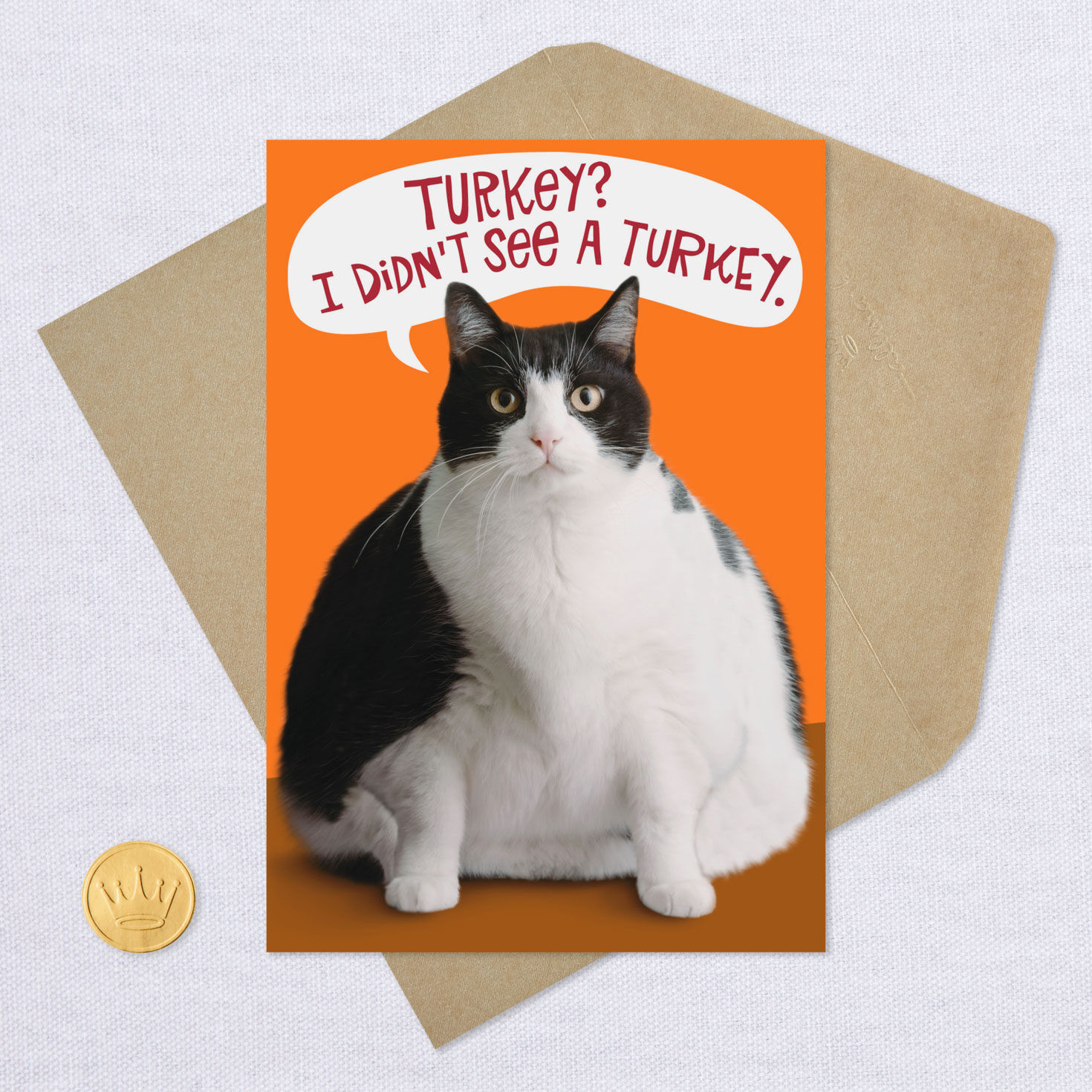 Fat Cat Funny Thanksgiving Card for only USD 3.49 | Hallmark