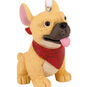 French Bulldog Christmas Ornament closeup view image number 5
