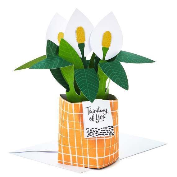Peace Lily Love You 3D Pop-Up Thinking of You Card, , large image number 1