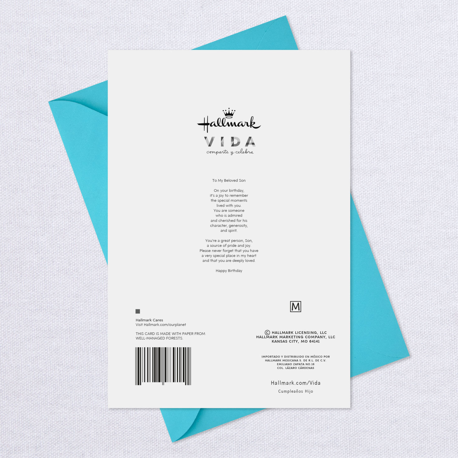 A Special Place in My Heart Spanish-Language Birthday Card for Son, , large image number 7